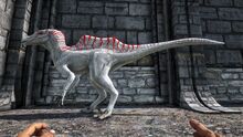 346110 screenshots 20190602215439 1.jpg