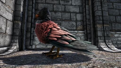 346110 screenshots 20190126213106 1.jpg