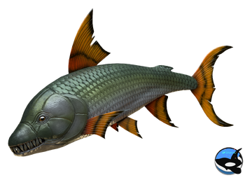 Goliath Tigerfish | Additional Creatures Wiki Fandom