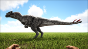 Sinotyrannus4.png