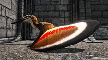 346110 screenshots 20191010223504 1.jpg