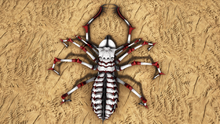 Dreadweaver2.png