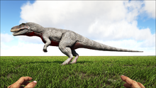 Torvo5.png
