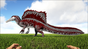 2agspino.png