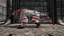 Skin.jpg
