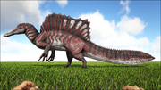 5gspino.png