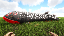 Rhizo5.png