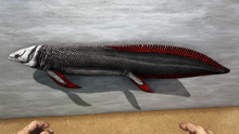 Arganodus4.png