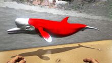 346110 screenshots 20190715205709 1.jpg