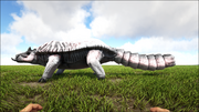 Susecdurus5.png