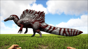 2rgspino.png