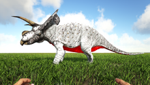 Toro5.png