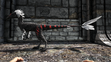 Austrox3.png