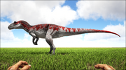 Epanteriasr5.png