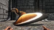 346110 screenshots 20191010224031 1.jpg