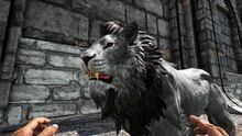 346110 screenshots 20191110215645 1.jpg