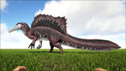 5agspino.png