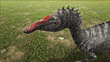 Angar2.png