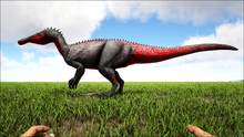 Angax5.png