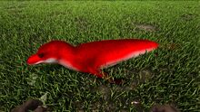 346110 screenshots 20191209201322 1.jpg