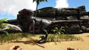 346110 screenshots 20180904150406 1.jpg