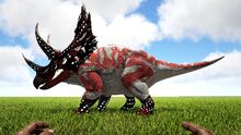 346110 screenshots 20190318222809 1.jpg