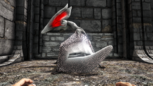 T5.png