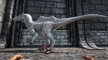 346110 screenshots 20190602223651 1.jpg