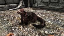 346110 screenshots 20190525152654 1.jpg