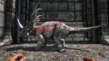 346110 screenshots 20191124065635 1.jpg