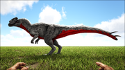 Sinotyrannus5.png
