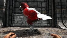 346110 screenshots 20190731213038 1.jpg
