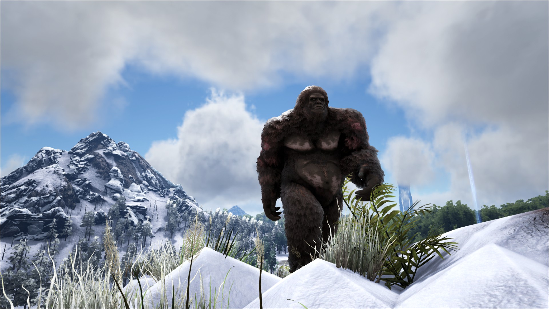 dark and light taming cave yeti dark and light taming cave yeti