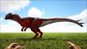 Sinotyrannus0.png