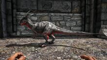 346110 screenshots 20191123233700 1.jpg