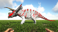 Toro3.png