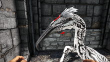 Phosphatx4.png