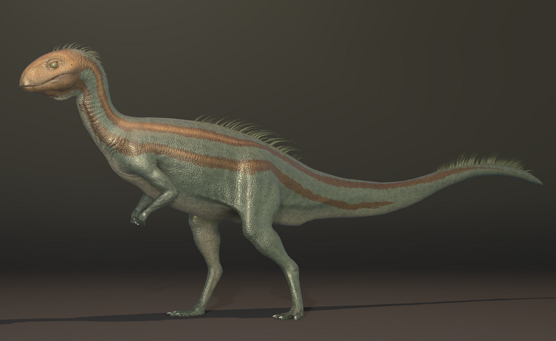 The Climbing, Flying Babies of Deinonychus - Scientific American Blog  Network