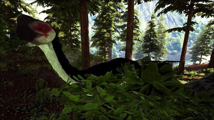 346110 screenshots 20190908203437 1.jpg