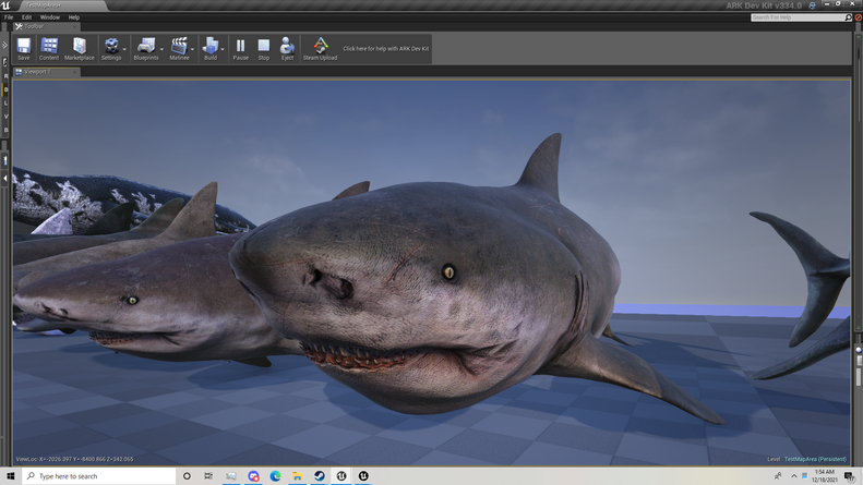 Bull Shark Models (Both Forms)