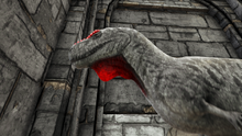 Skorpio1.png