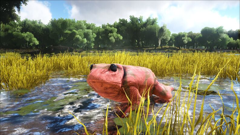 346110 screenshots 20191012100105 1.jpg