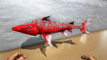 Piraiba 0.png