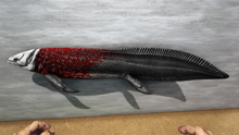 Arganodus1.png