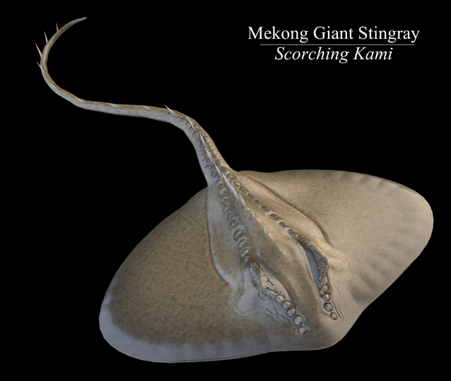 giant stingray attack