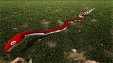 Gigant5.png