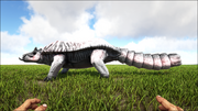 Susecdurus3.png