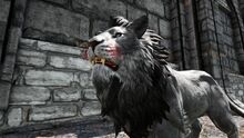 346110 screenshots 20191110215637 1.jpg