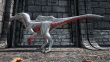 346110 screenshots 20190602215501 1.jpg