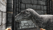Albertor1.png